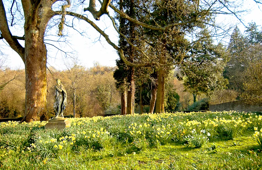 Peaceful sculptural garden design in Ménerbes village